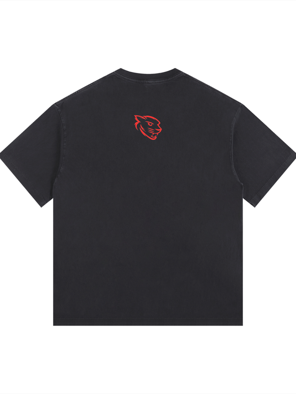 Pantheion Vintage Washed Oversized Cotton Tee