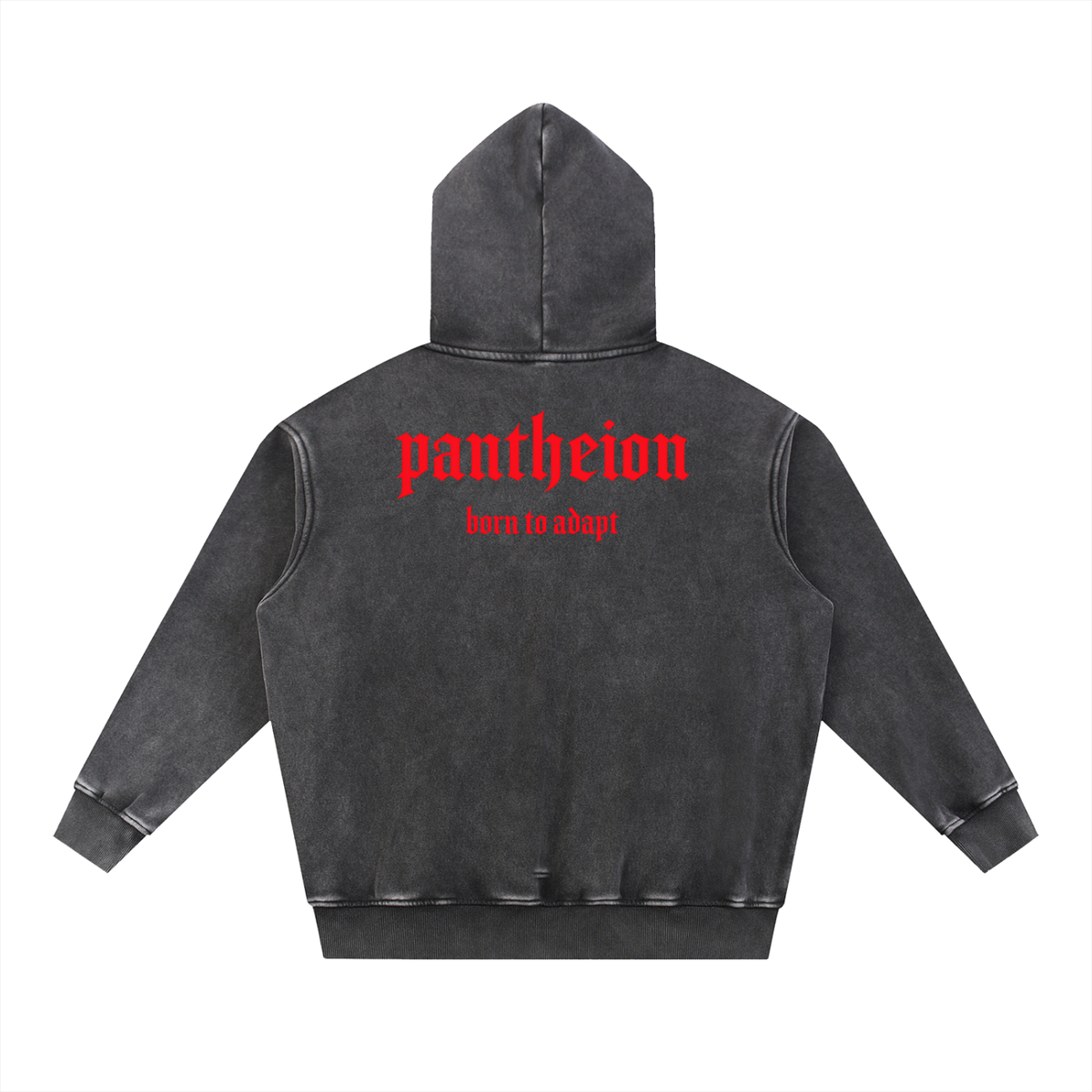 Pantheion BRN 2 ADAPT Snow Wash Oversize Hoodie
