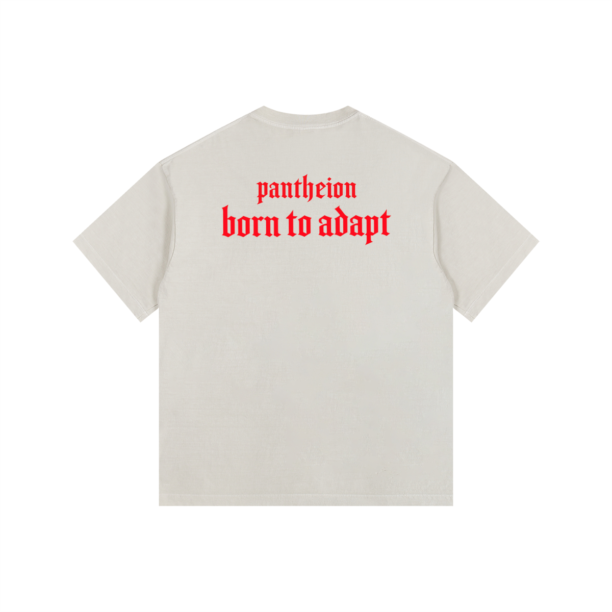Pantheion BRN 2 ADAPT Vintage Washed Oversized Cotton Tee