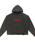 Pantheion Vintage Washed Frayed-Hem Hoodie