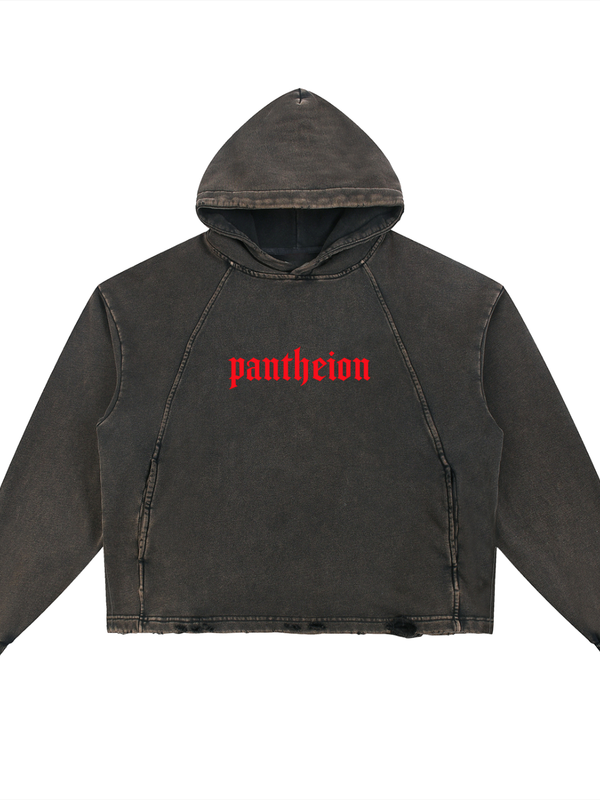 Pantheion Vintage Washed Frayed-Hem Hoodie