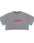 Pantheion Snow Washed Raw Edge Crop Top