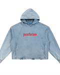 Pantheion Vintage Washed Frayed-Hem Hoodie