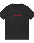 Pantheion StrikeSkin