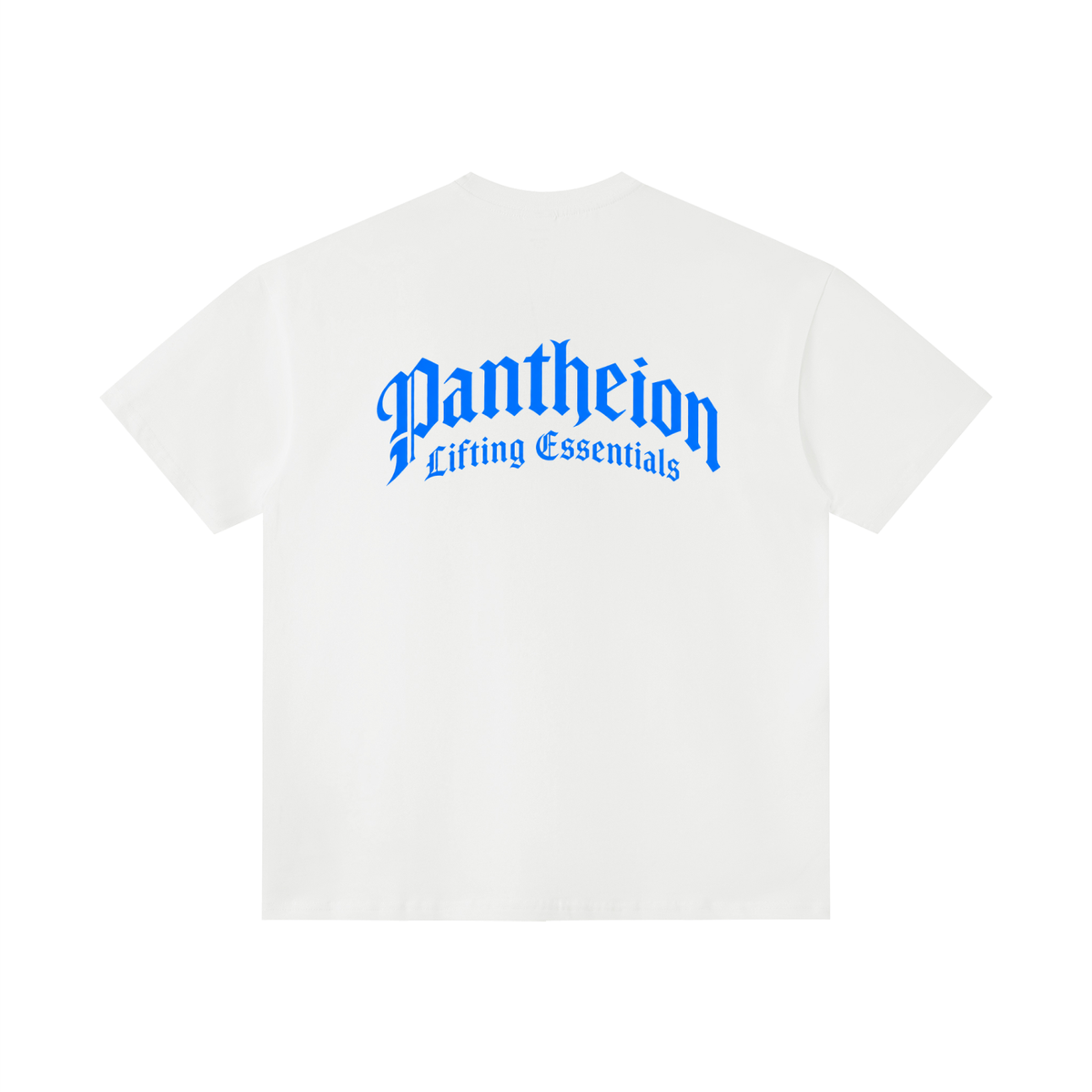 Unisex Tonal Paneled Performance T-Shirt