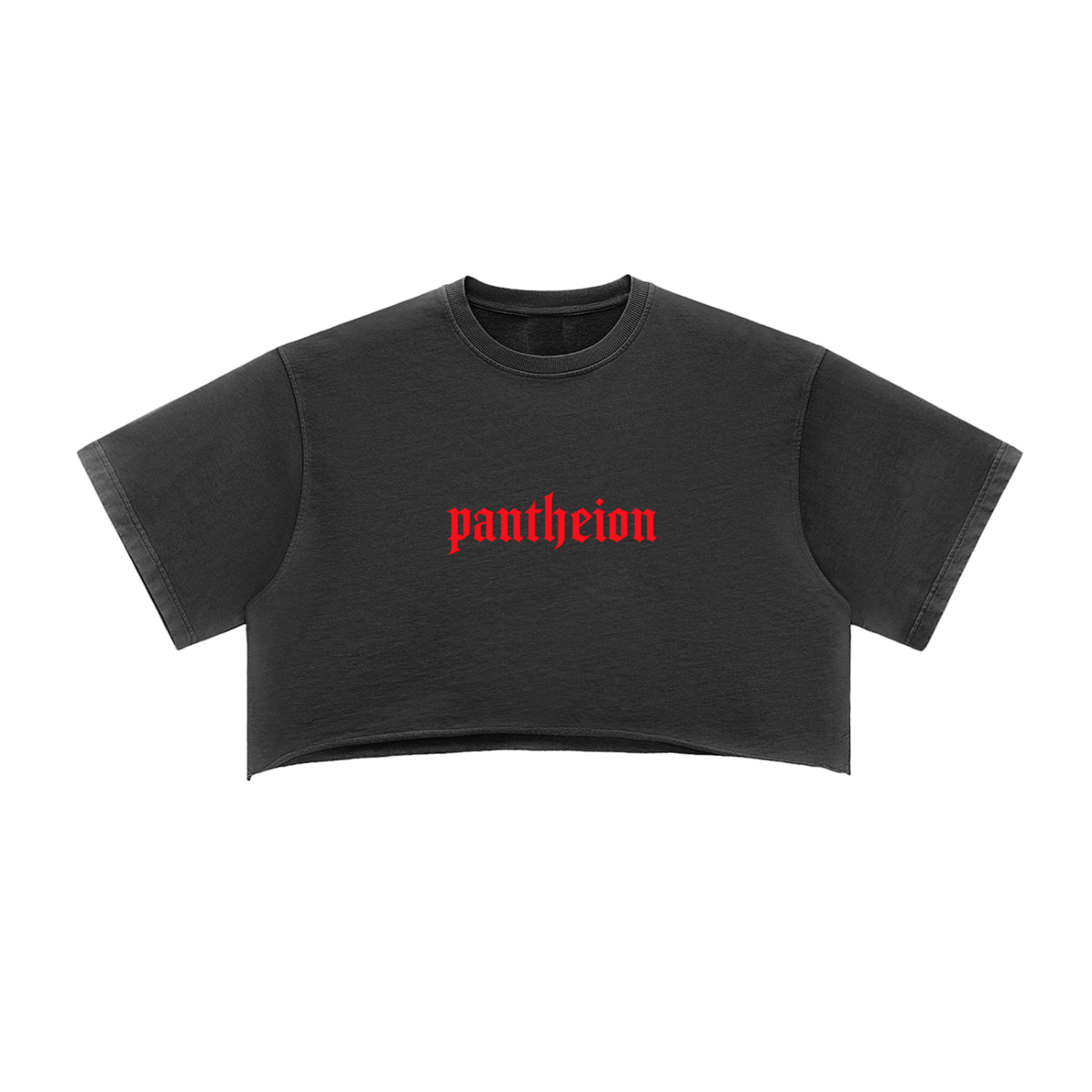 Pantheion Snow Washed Raw Edge Crop Top