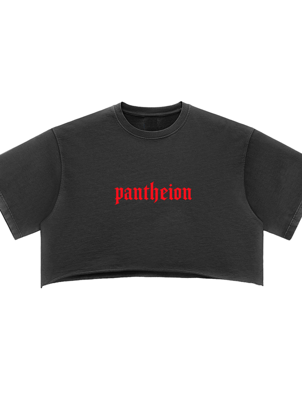 Pantheion Snow Washed Raw Edge Crop Top
