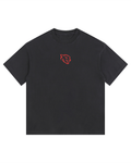 Pantheion BRN 2 ADAPT Vintage Washed Oversized Cotton Tee
