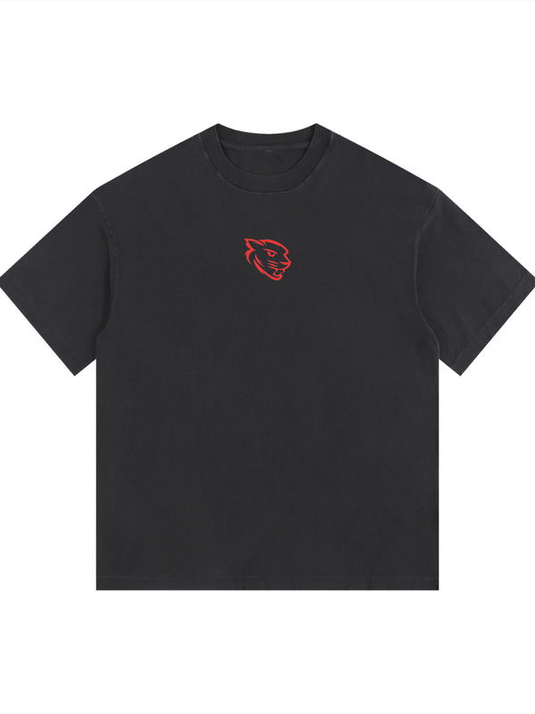 Pantheion BRN 2 ADAPT Vintage Washed Oversized Cotton Tee