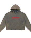 Pantheion Vintage Washed Frayed-Hem Hoodie