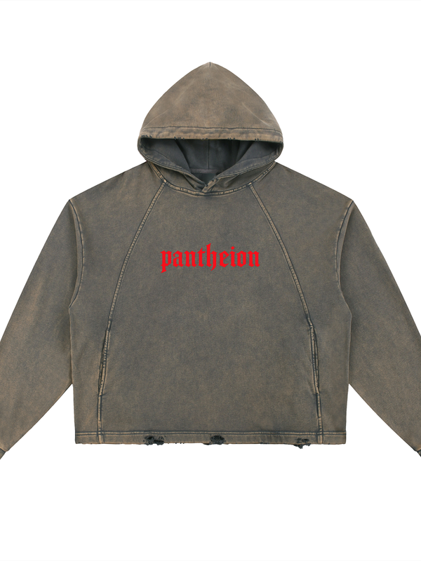 Pantheion Vintage Washed Frayed-Hem Hoodie