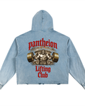 Pantheion Vintage Washed Frayed-Hem Hoodie
