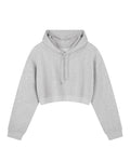 Pantheion Essential Cropped Hoodie